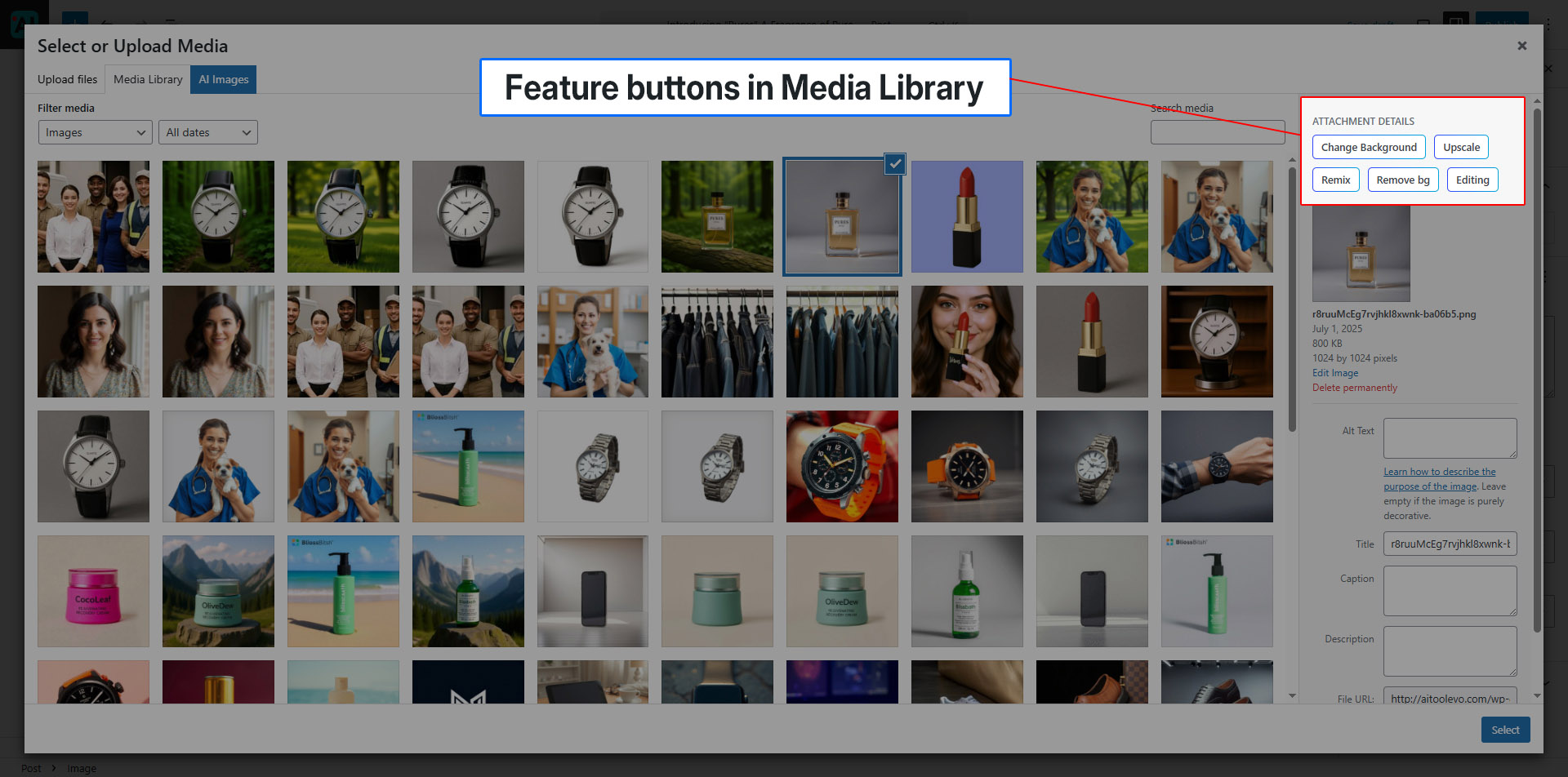 Feature Buttons in Media Library