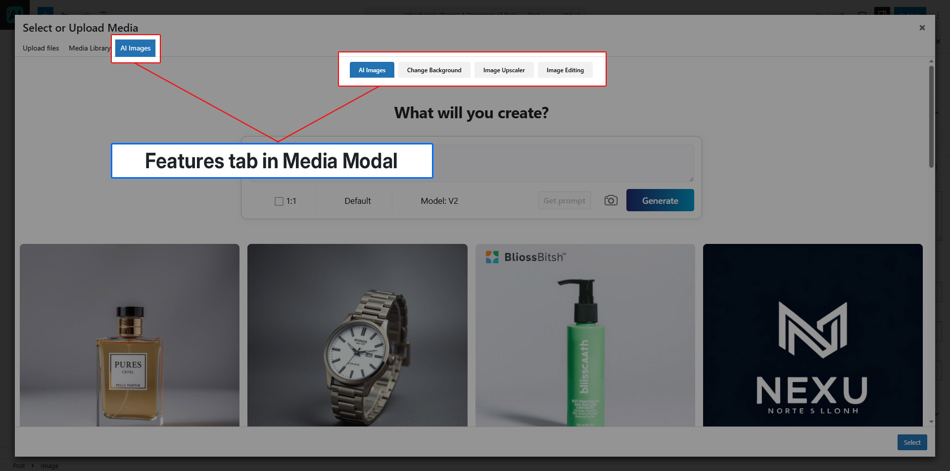 Features Tab in Media Modal